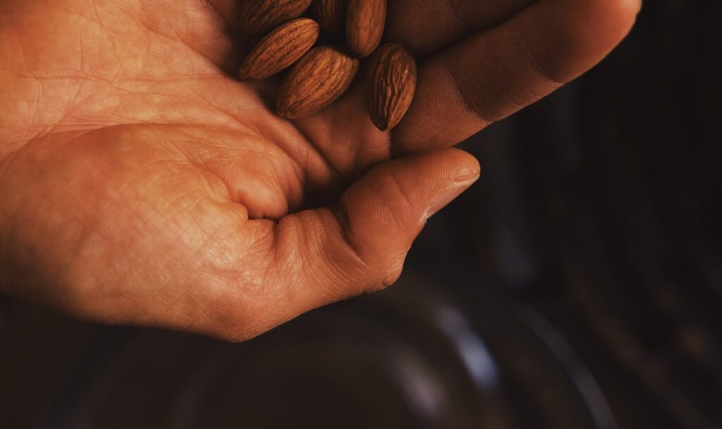 almendras frutos secos orgánicos_importaco