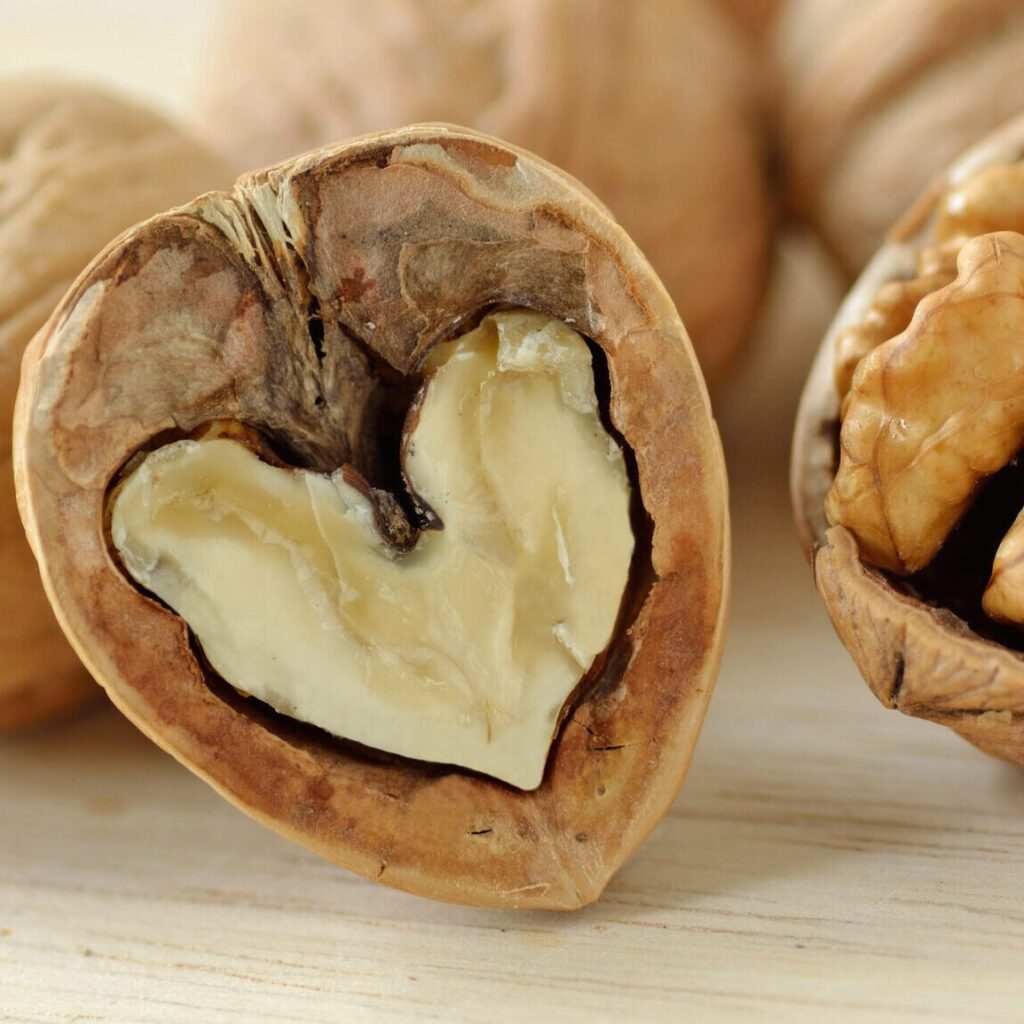 nueces historia frutos secos importaco salud tipos