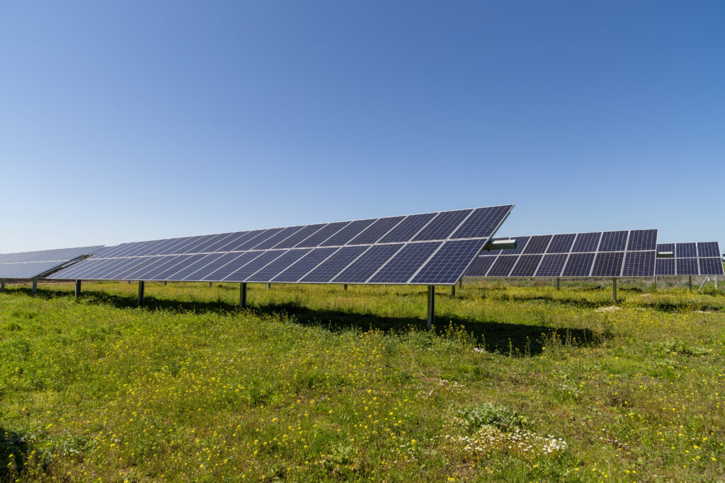 Importaco Sostenibilidad