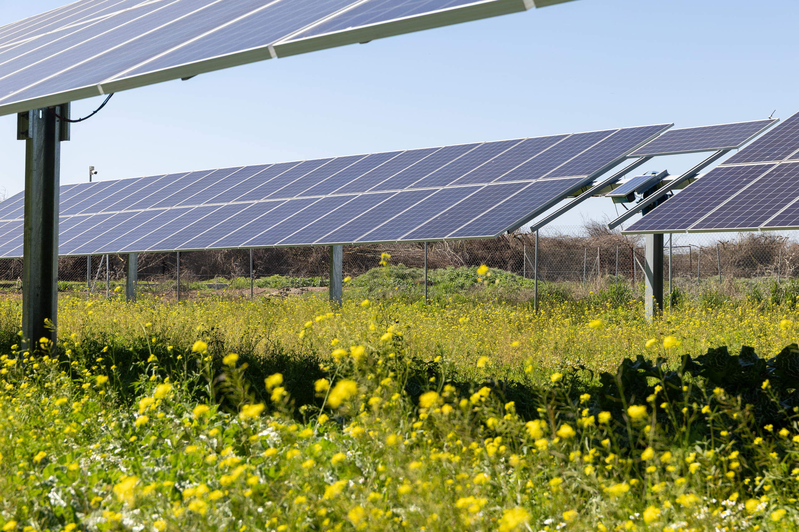 Importacao Sostenibilidad