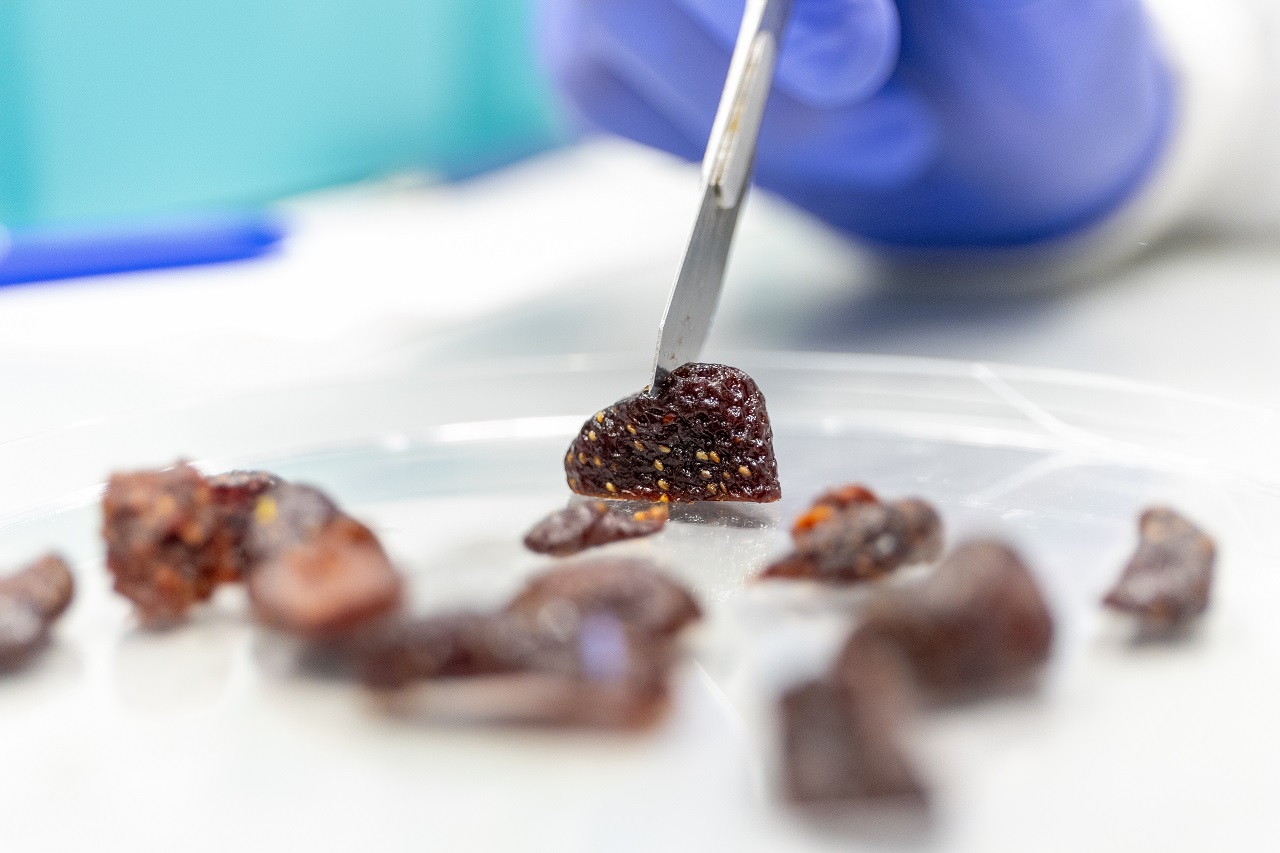 alimentos modelo calidad orientado personas planeta