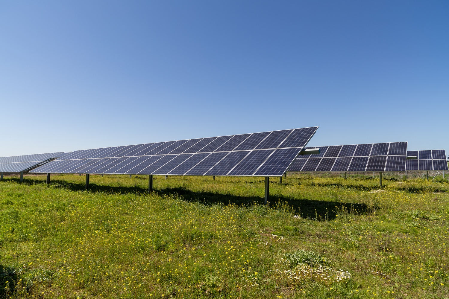 Paneles solares